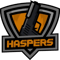 Haspers Team (Counter-Strike (CS2)) Haspers Team (Counter-Strike (CS2))