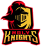 Holy Knights E-Sports (Counter-Strike (CS2)) Holy Knights E-Sports (Counter-Strike (CS2))