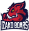 Izako Boars (Counter-Strike (CS2))