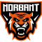 NORBANT (Counter-Strike (CS2)) NORBANT (Counter-Strike (CS2))