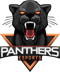 PANTHERS (Counter-Strike (CS2)) PANTHERS (Counter-Strike (CS2))