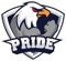 PRIDE (Counter-Strike (CS2)) PRIDE (Counter-Strike (CS2))