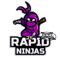 Rapid Ninjas (Counter-Strike (CS2)) Rapid Ninjas (Counter-Strike (CS2))