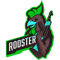 Rooster 2 (Counter-Strike (CS2)) Rooster 2 (Counter-Strike (CS2))