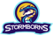 Stormborns (Counter-Strike (CS2)) Stormborns (Counter-Strike (CS2))