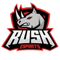 RUSH (Counter-Strike (CS2)) RUSH (Counter-Strike (CS2))