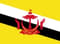 Team Brunei