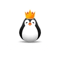 Team Kinguin (Counter-Strike (CS2))