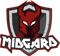 Team Midgard (Counter-Strike (CS2)) Team Midgard (Counter-Strike (CS2))