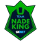 Team NadeKing (Counter-Strike (CS2)) Team NadeKing (Counter-Strike (CS2))