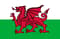 Team Wales (Counter-Strike (CS2))