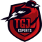 TGJ Esports (Counter-Strike (CS2)) TGJ Esports (Counter-Strike (CS2))