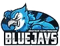 BLUEJAYS Prodigy (Counter-Strike (CS2)) BLUEJAYS Prodigy (Counter-Strike (CS2))