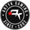 Artyk (Counter-Strike (CS2)) Artyk (Counter-Strike (CS2))