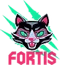 FORTIS (Counter-Strike (CS2)) FORTIS (Counter-Strike (CS2))