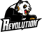 Revolution (Counter-Strike (CS2)) Revolution (Counter-Strike (CS2))