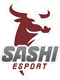 Sashi Academy (Counter-Strike (CS2)) Sashi Academy (Counter-Strike (CS2))