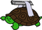 tutel (Counter-Strike (CS2)) tutel (Counter-Strike (CS2))