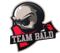 Bald Reborn (Dota 2)