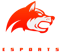 Denial eSports