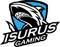 Isurus Gaming