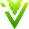 IVY (Dota 2) IVY (Dota 2)