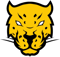 Jaguares Gaming (Dota 2) Jaguares Gaming (Dota 2)
