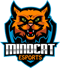 MINDCAT Esports (Dota 2) MINDCAT Esports (Dota 2)