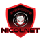 NicolNet (Dota 2) NicolNet (Dota 2)