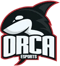 PG.Orca (Dota 2) PG.Orca (Dota 2)