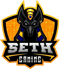 SeTH Gaming (Dota 2) SeTH Gaming (Dota 2)