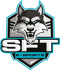 SFTe-sports (Dota 2) SFTe-sports (Dota 2)