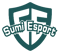 Sumi Esport (Dota 2) Sumi Esport (Dota 2)
