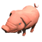 Team Pig Pole