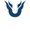 Team Unique (Dota 2)