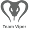 Team Viper (Dota 2)