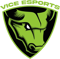 Vice Esports (Dota 2) Vice Esports (Dota 2)