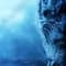 White Walkers (Dota 2) White Walkers (Dota 2)