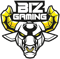 Biz Gaming (Dota 2)