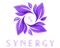 Synergy (Dota 2) Synergy (Dota 2)