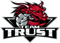 Team Trust (Dota 2)