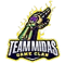 Team Midas (Dota 2)