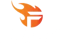 Team Flash VN