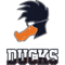 Playing Ducks