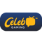 Celeb Gaming (Heroes of the Storm)