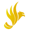 Aguilas Doradas Esports (LoL) Aguilas Doradas Esports (LoL)