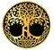 Anima eSports (LoL) Anima eSports (LoL)