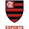 Flamengo Academy (LoL) Flamengo Academy (LoL)
