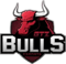 GTZ Bulls (LoL) GTZ Bulls (LoL)