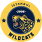 Istanbul Wildcats (LoL) Istanbul Wildcats (LoL)